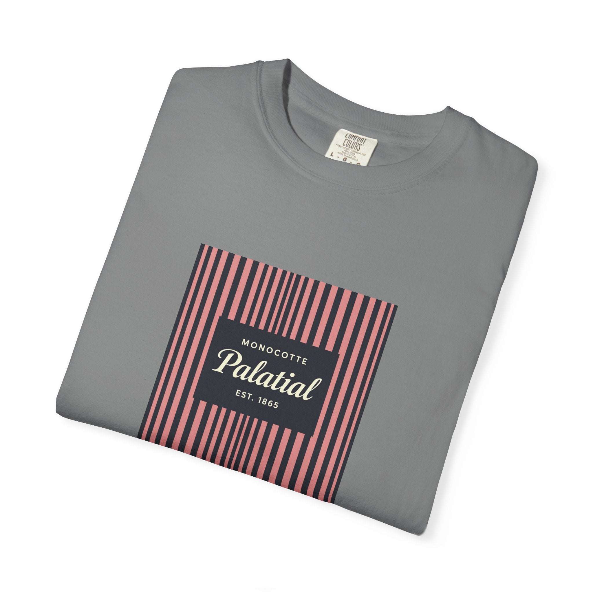 Palatial Stripes T-Shirt — Vintage Striped Graphic Tee