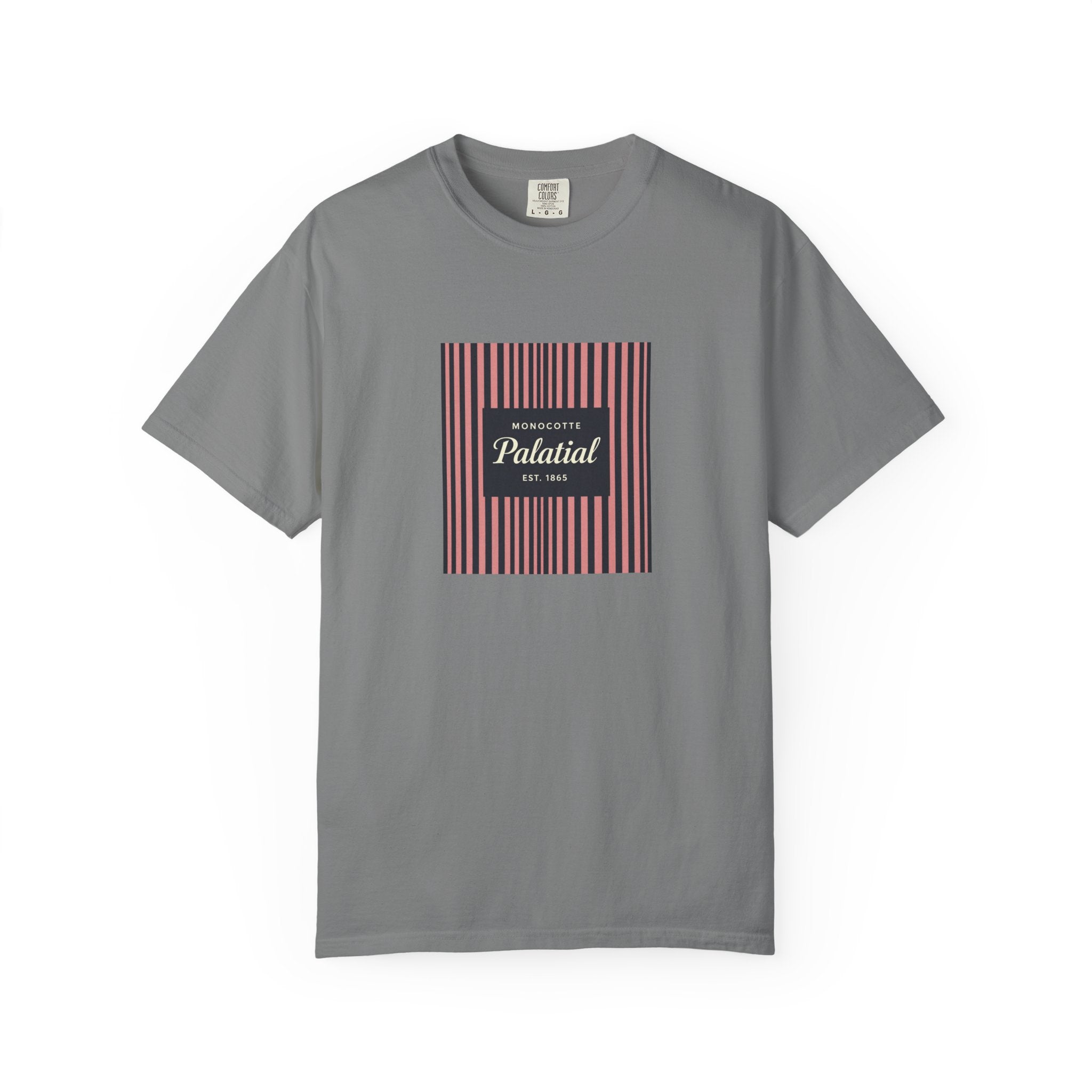 Palatial Stripes T-Shirt — Vintage Striped Graphic Tee
