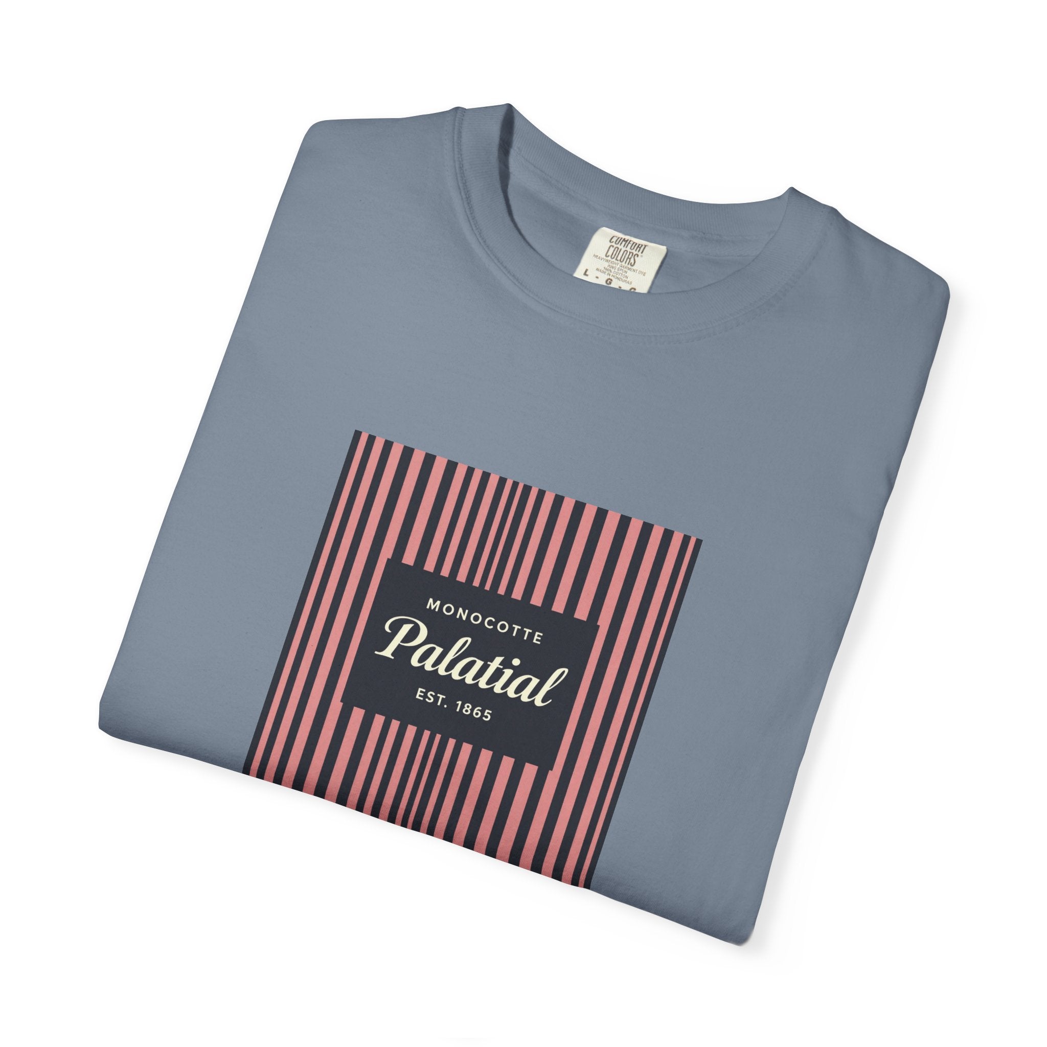 Palatial Stripes T-Shirt — Vintage Striped Graphic Tee