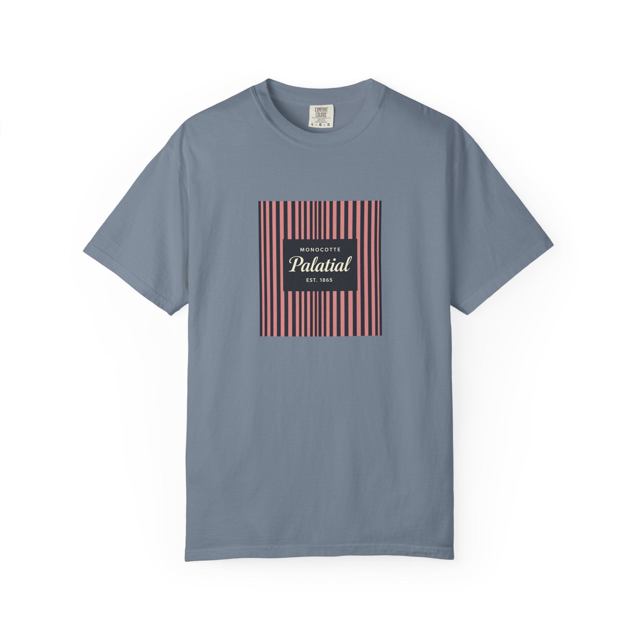 Palatial Stripes T-Shirt — Vintage Striped Graphic Tee