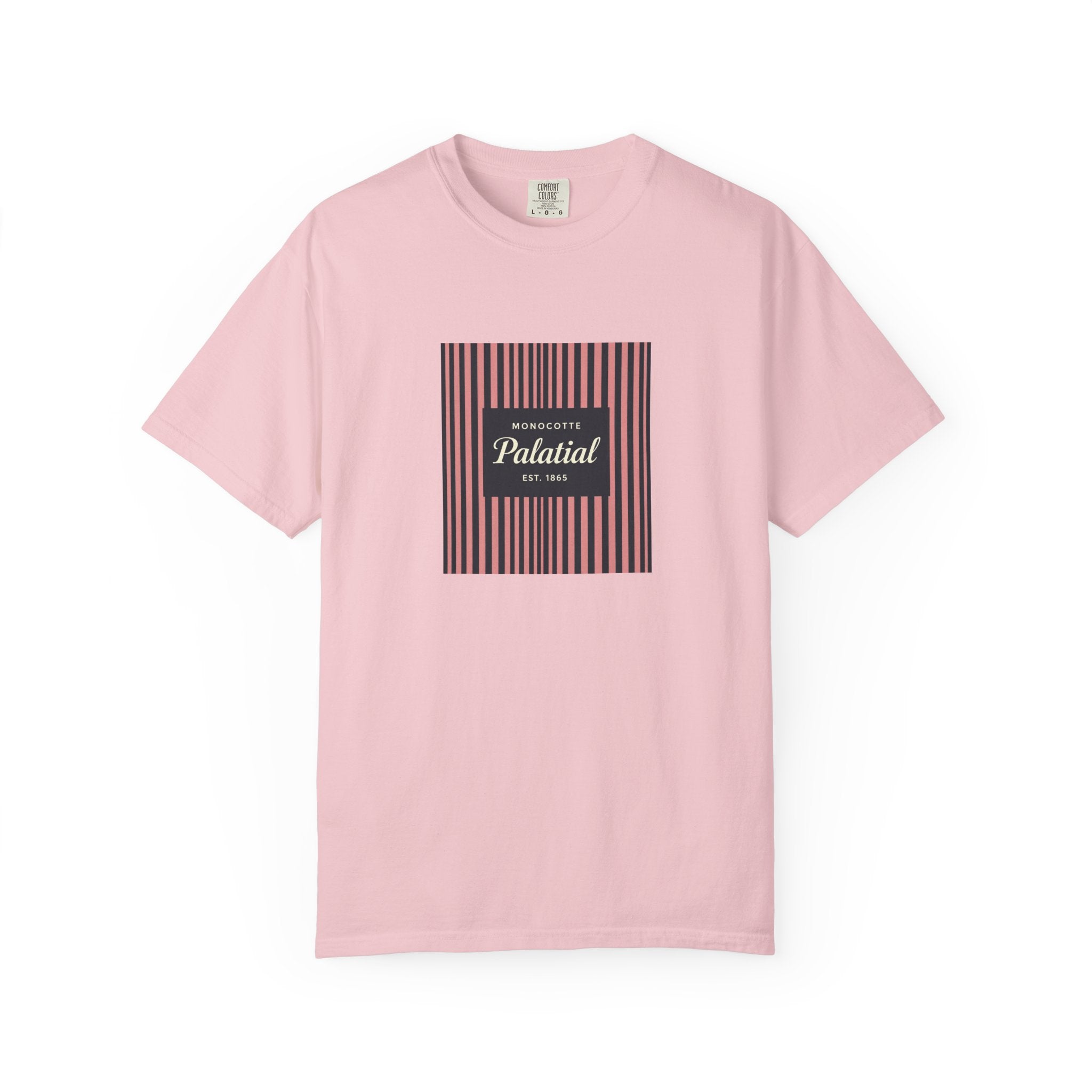 Palatial Stripes T-Shirt — Vintage Striped Graphic Tee