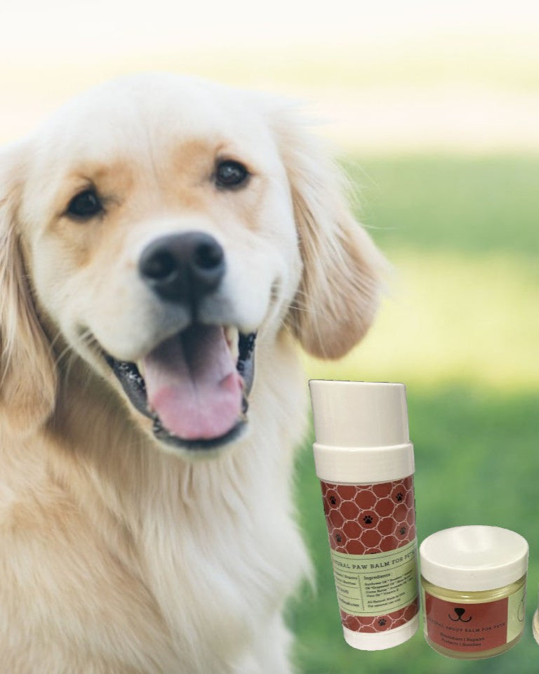 All-Natural Pet Wellness Pamper Box