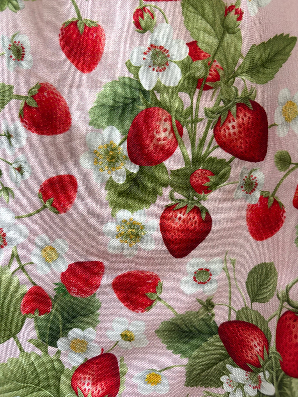 Strawberry Collared Dress