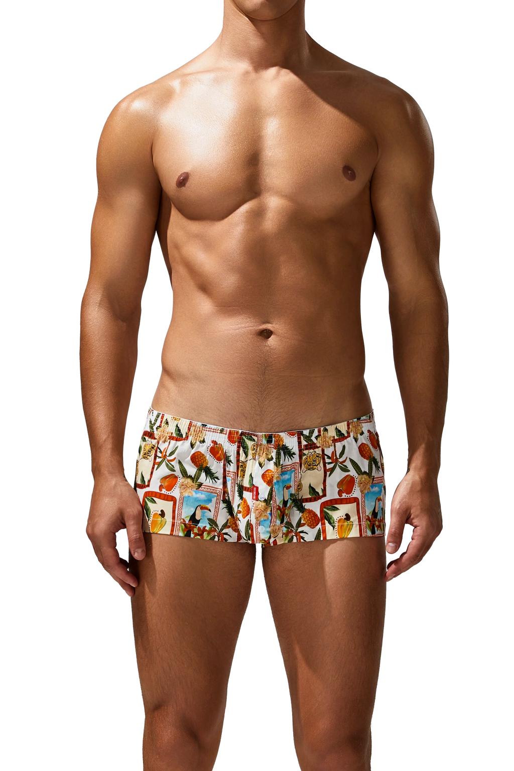 Men's Cotton Boxer Briefs - Botanical Print Breathable Underwear