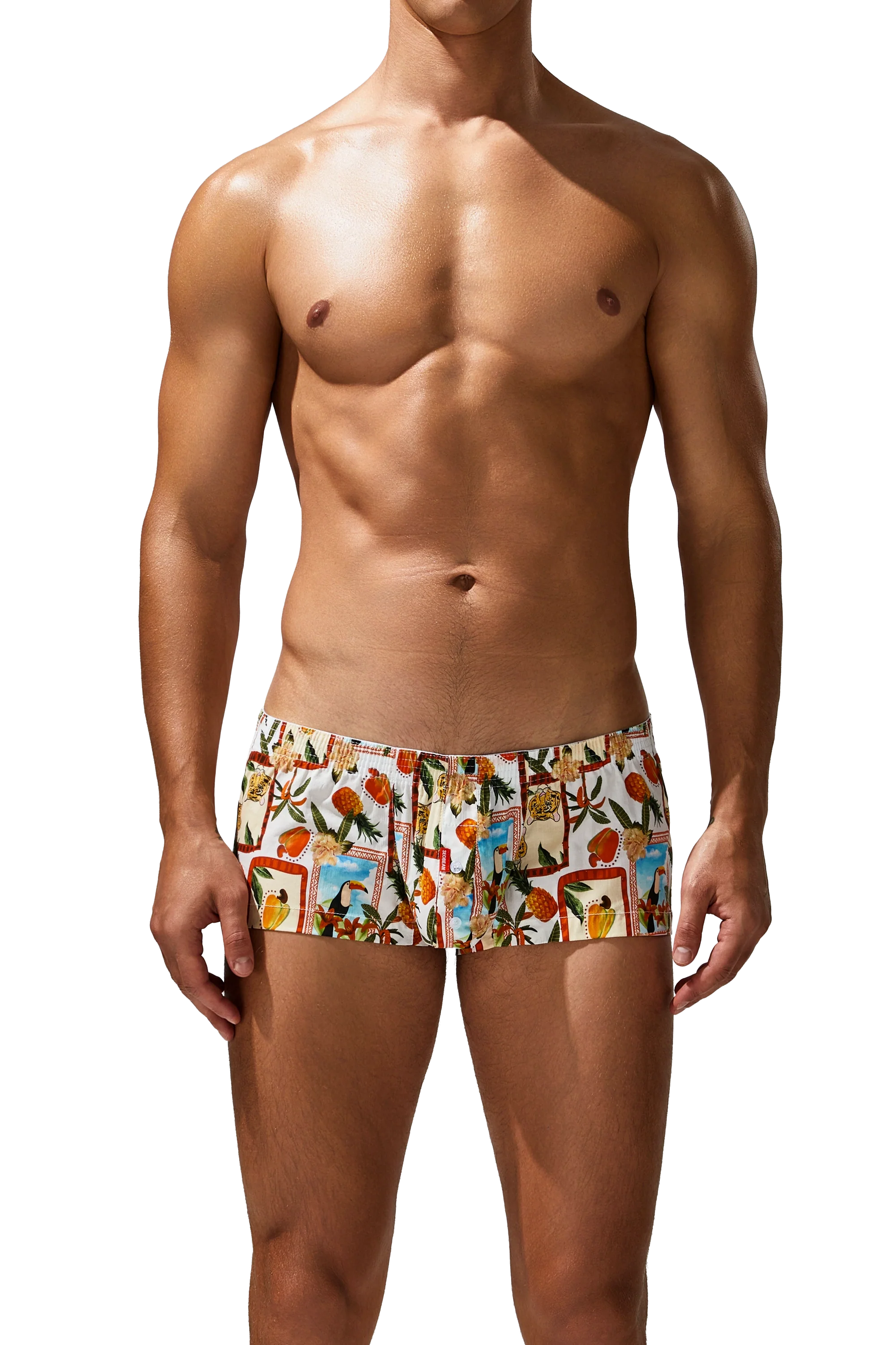 Men's Cotton Boxer Briefs - Botanical Print Breathable Underwear