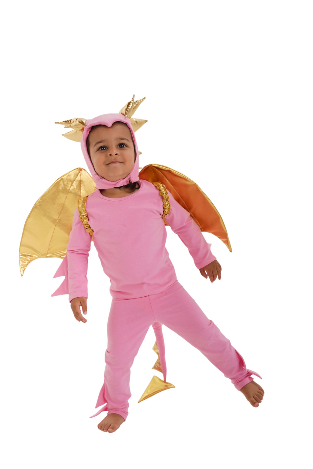 Pink Dragon Halloween Costume