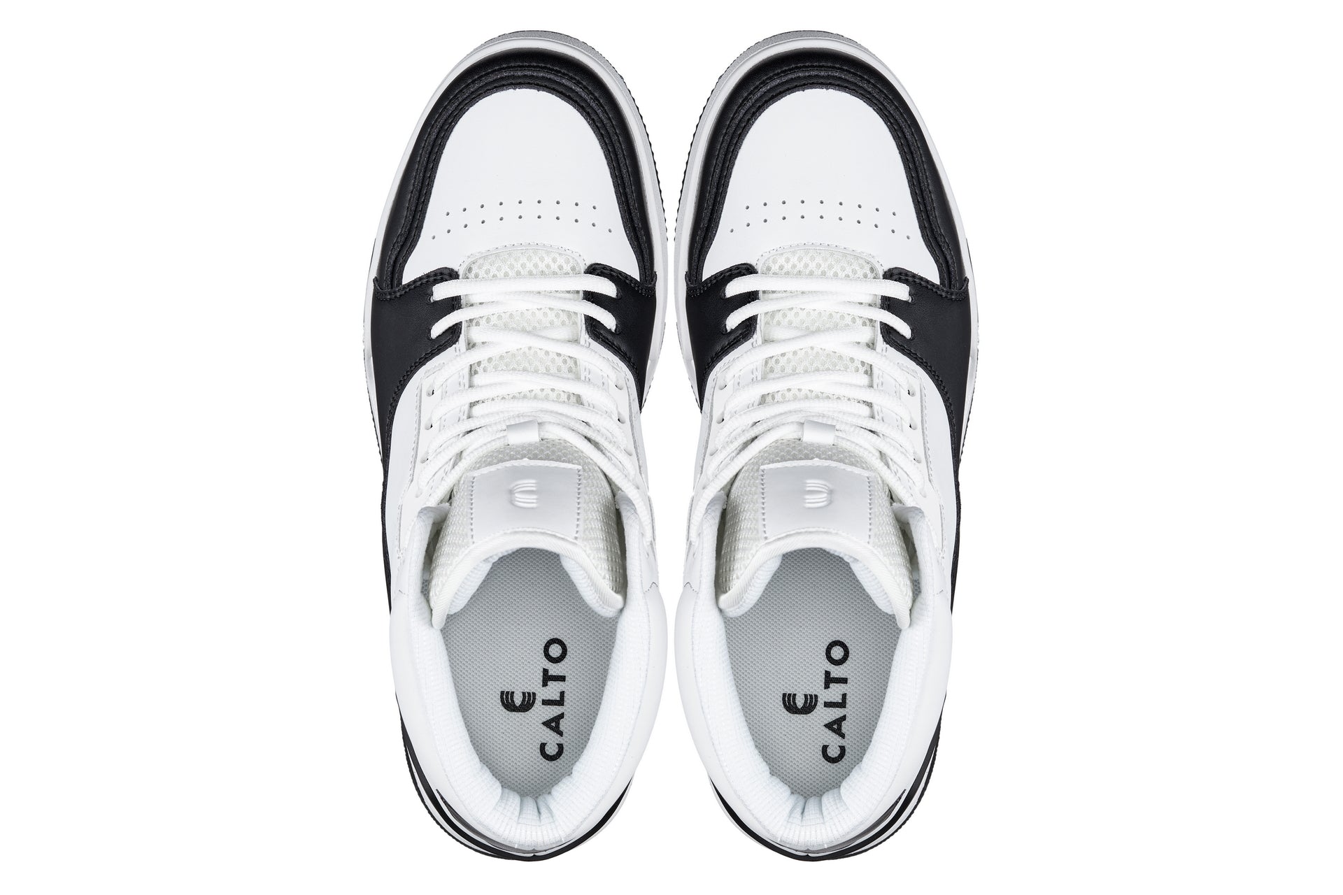 CALTO - S4752 - 3 Inches Taller (White/Black) - High Top Sneakers