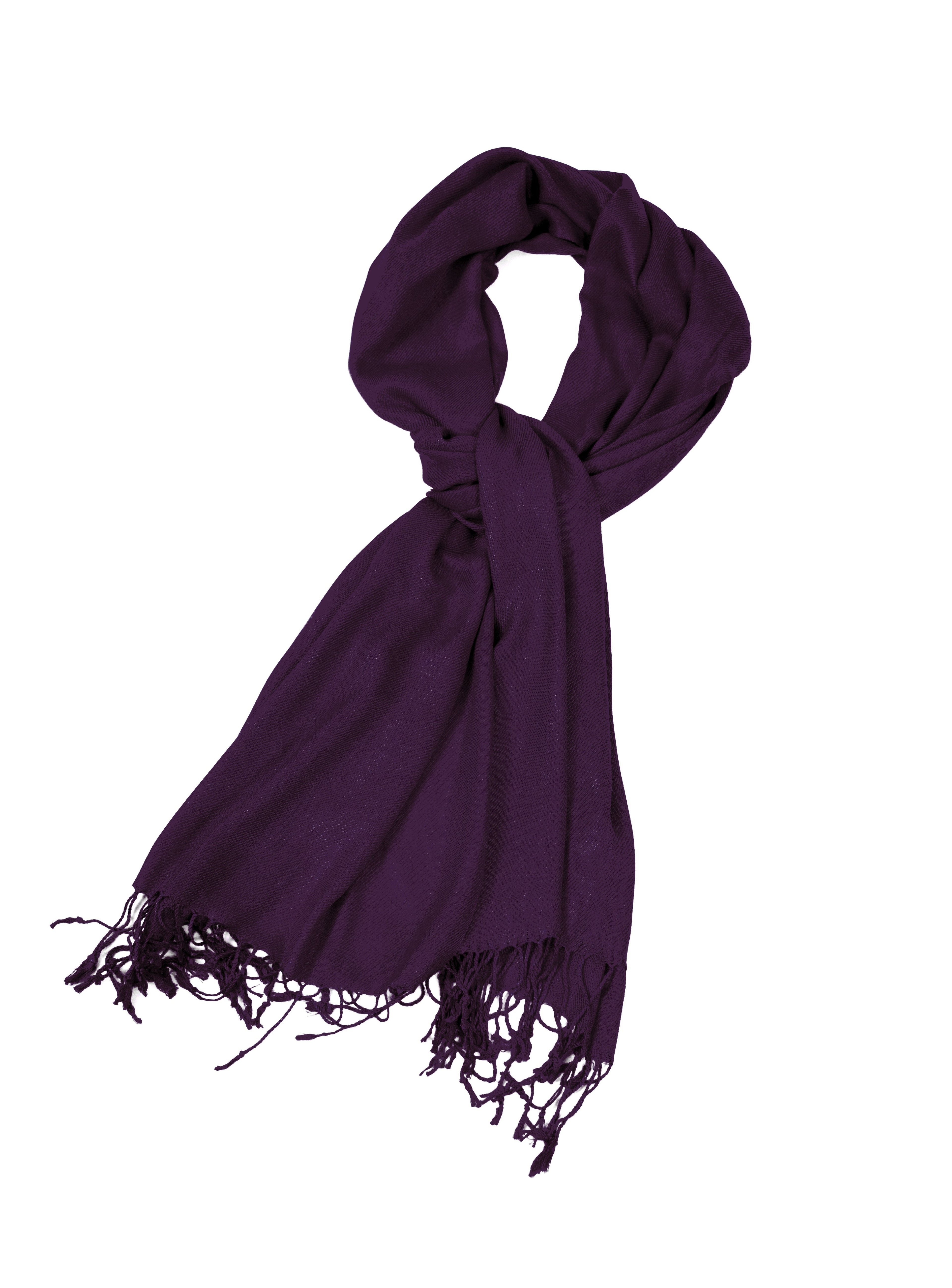 Large Soft Silky Pashmina Shawl