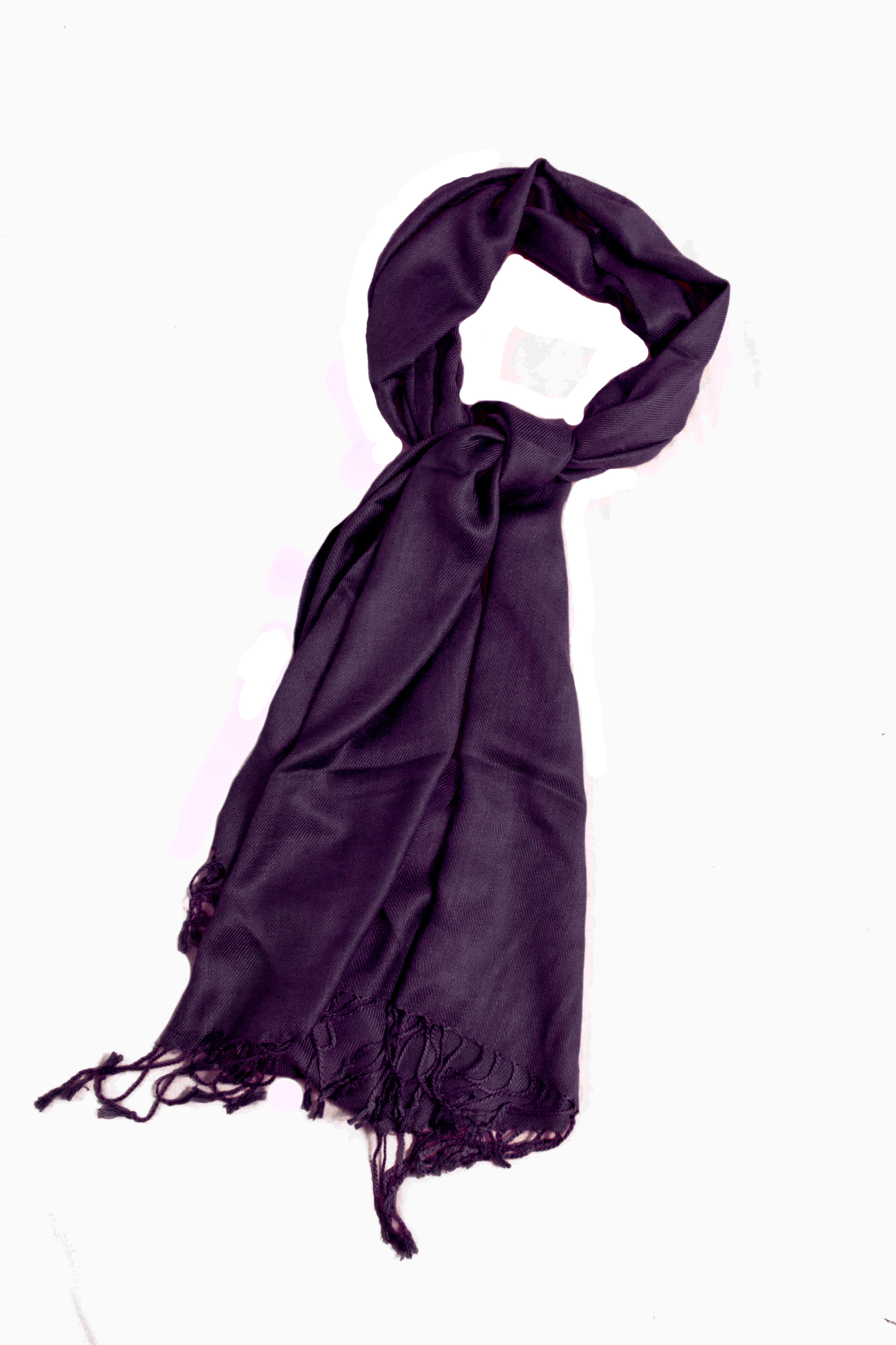 Large Soft Silky Pashmina Shawl