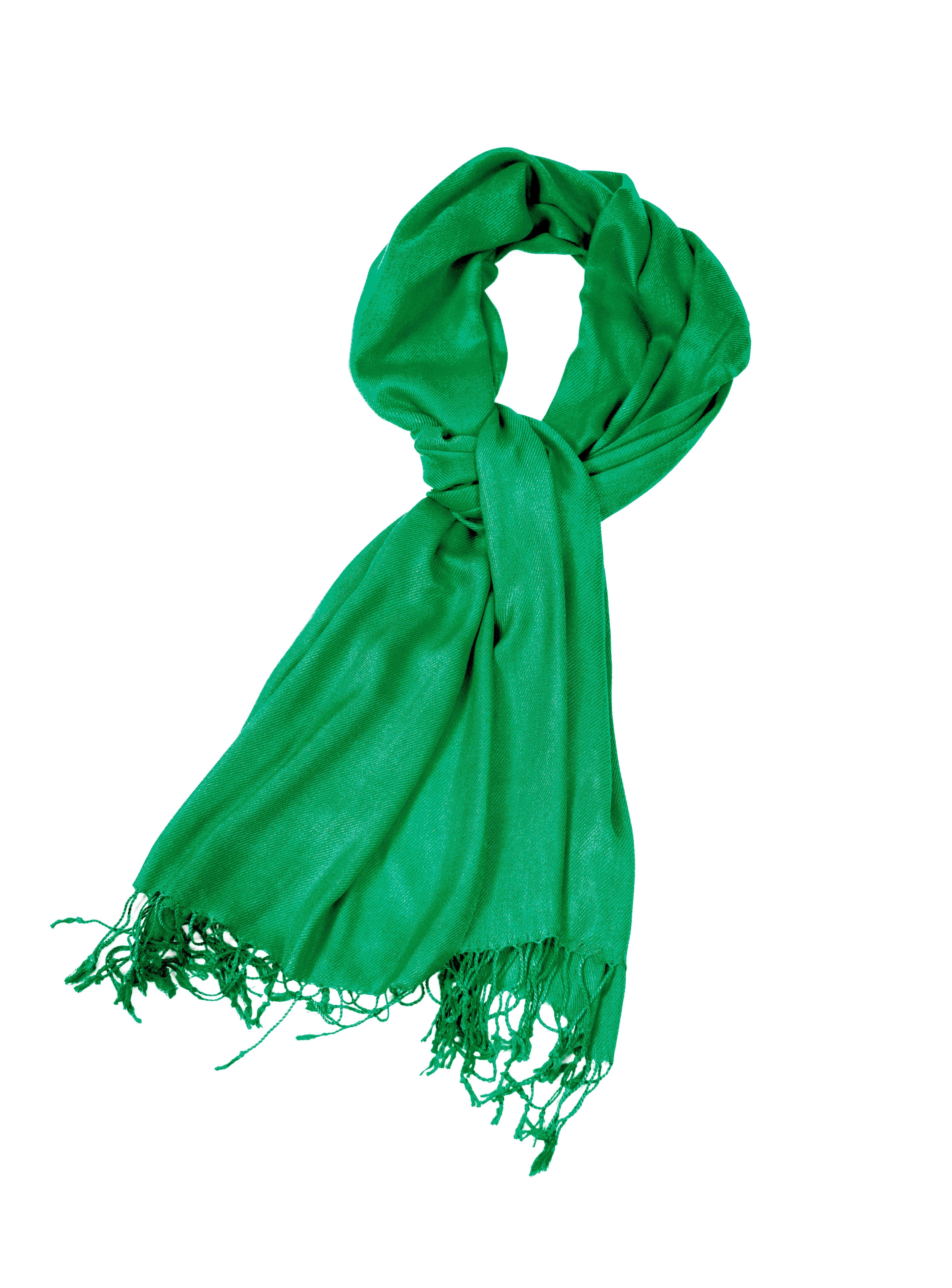 Large Soft Silky Pashmina Shawl