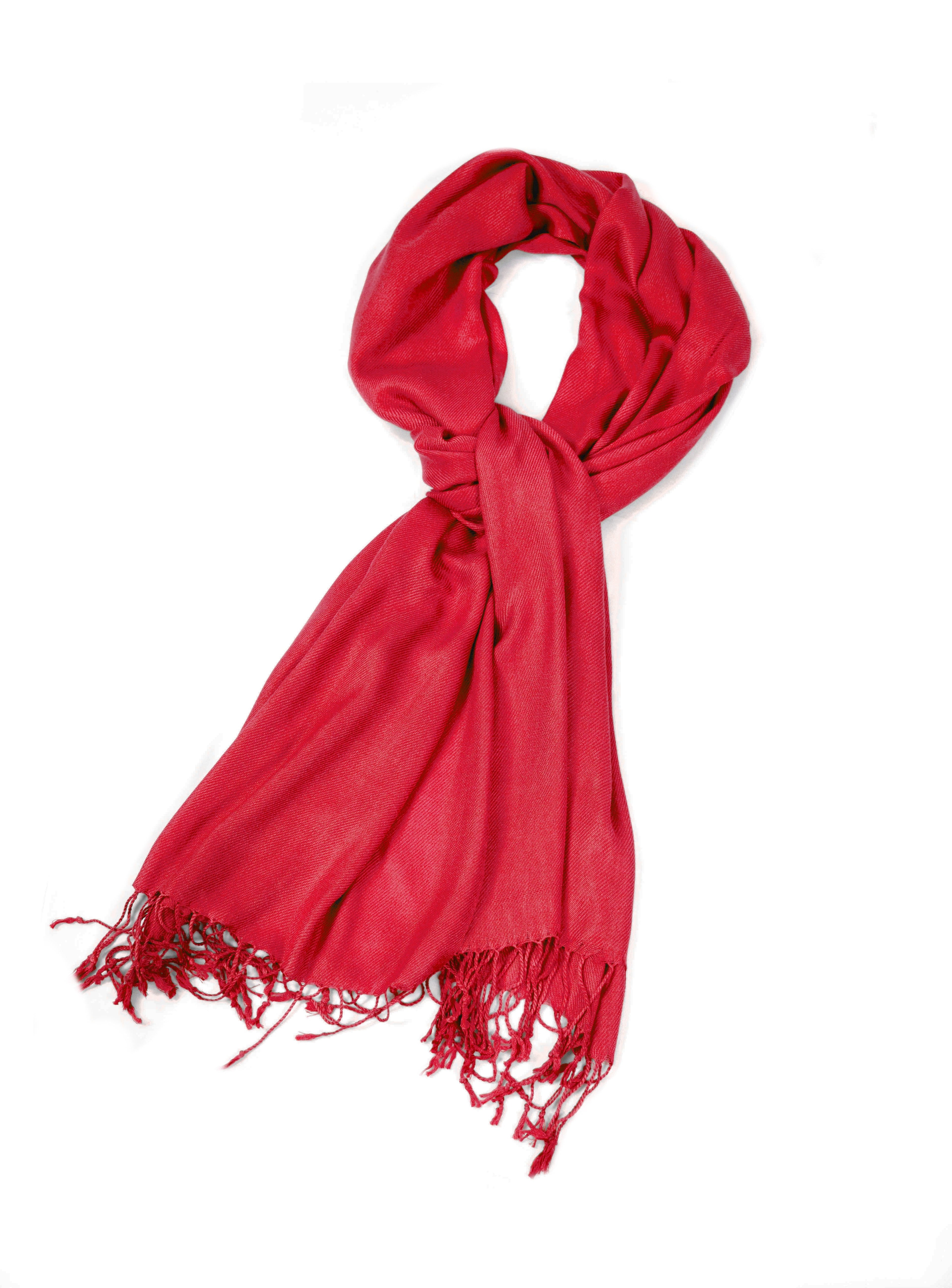 Large Soft Silky Pashmina Shawl